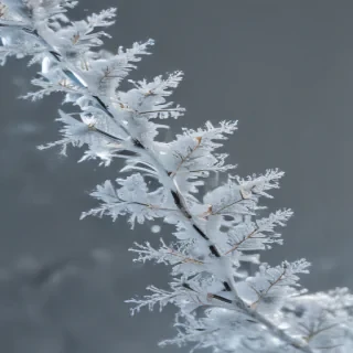 transparent snow png