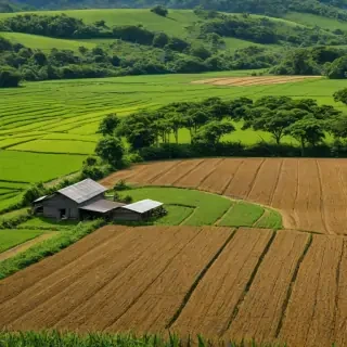farmland png