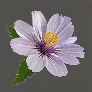 wild flower png