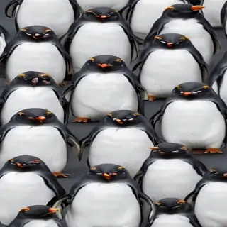 penguin backgrounds