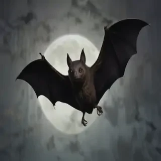 halloween bats images