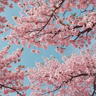 aesthetic wallpaper spring