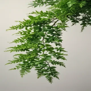 greenery png