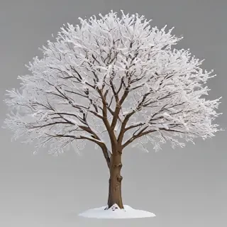 winter tree png