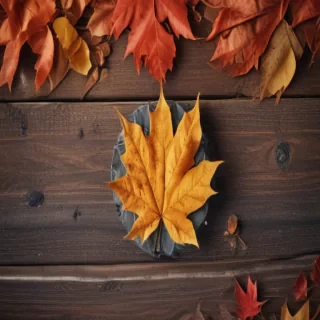 fall iphone wallpaper