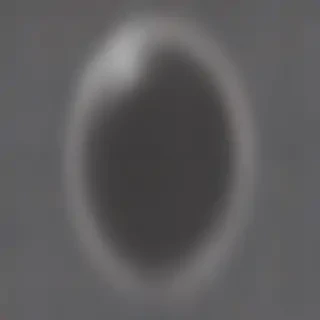 circle transparent png