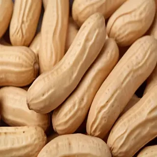 peanut png