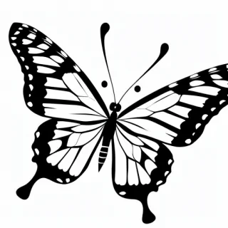 butterfly images to draw