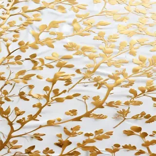 white background gold