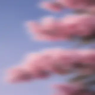 pretty wallpapers aesthetic