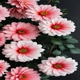 flower aesthetic wallpapers