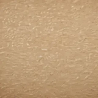 grain paper texture