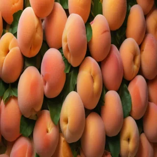 peach background wallpaper