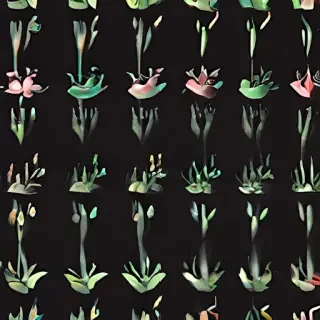 aesthetic simple wallpaper