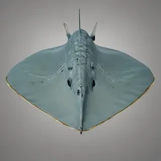 stingray png