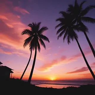 aesthetic wallpaper sunset