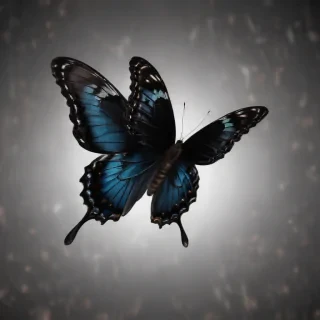 black butterfly png