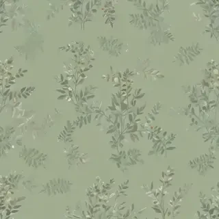 sage green bg