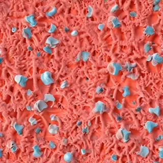 coral color