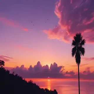 sunset aesthetic wallpaper