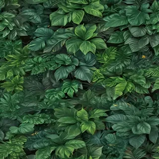 plant backgrounds