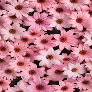 cute flower wallpaper aesthetic