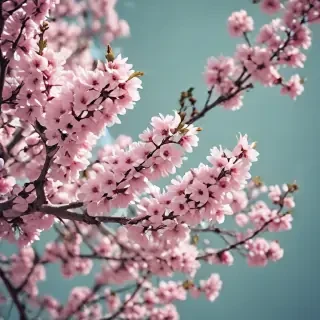 springtime iphone wallpaper