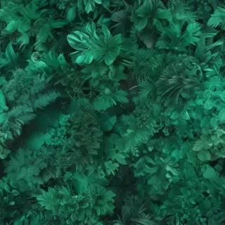 emerald green background