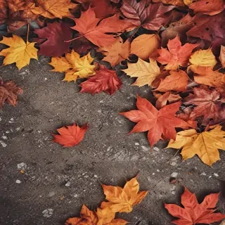 fall wallpaper for iphone