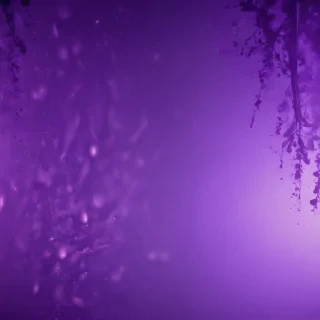 purple screen wallpaper