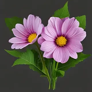 wild flower png