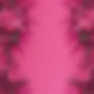 hot pink aesthetic wallpaper