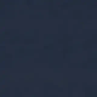 navy blue bg