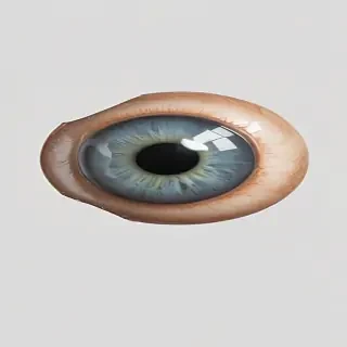 eye ball png