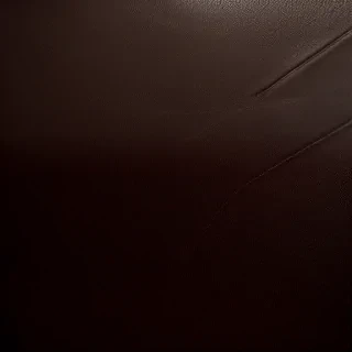 leather background