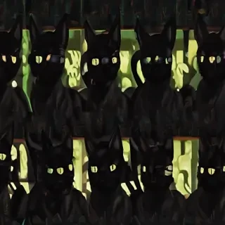 black cats