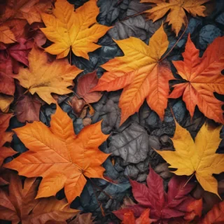 autumn leaves iphone wallpaper