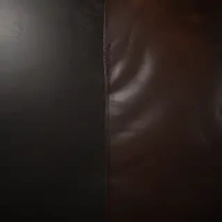 leather background