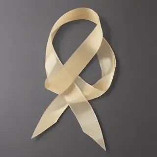 ribbon transparent