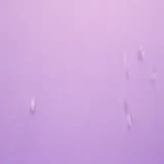 pastel purple background