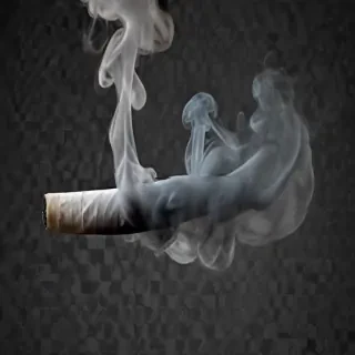 smoke transparent