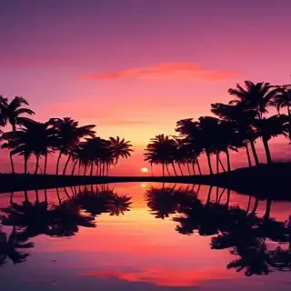 aesthetic sunset wallpaper