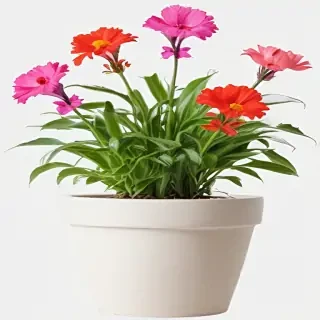 flower pot png