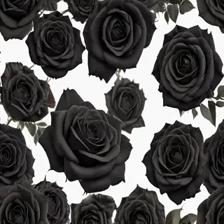 black roses png