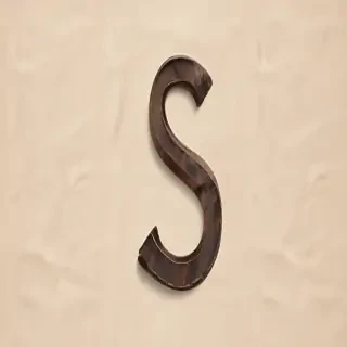 letter s png