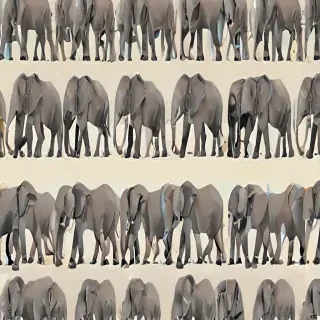 elephant background