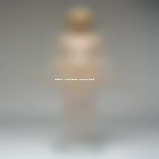 transparent chick