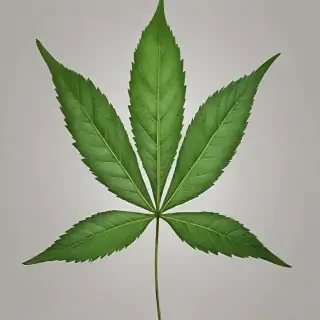 weed leaf png