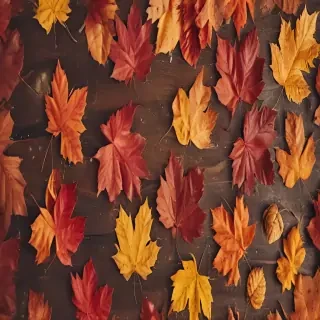 fall wallpaper iphone