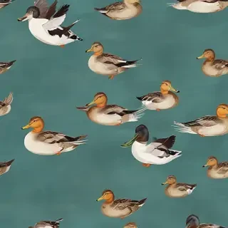 duck background